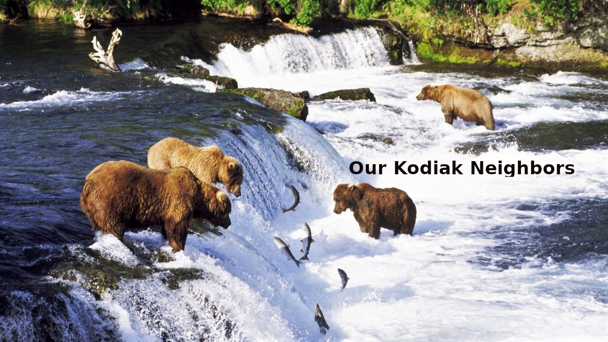 kodiak neighbors