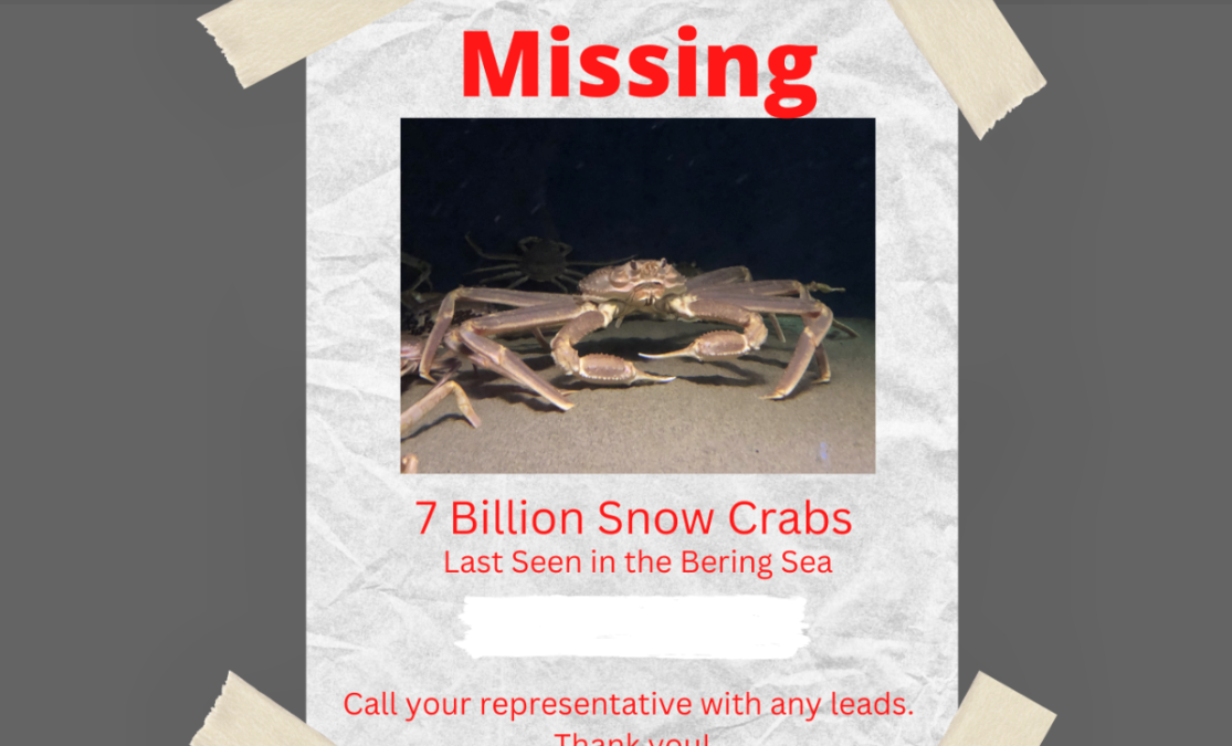 Missing 7 Billion Bering Sea Crabs