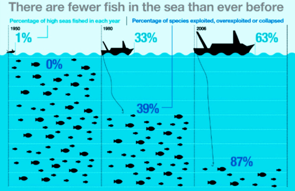 Fewer Fish